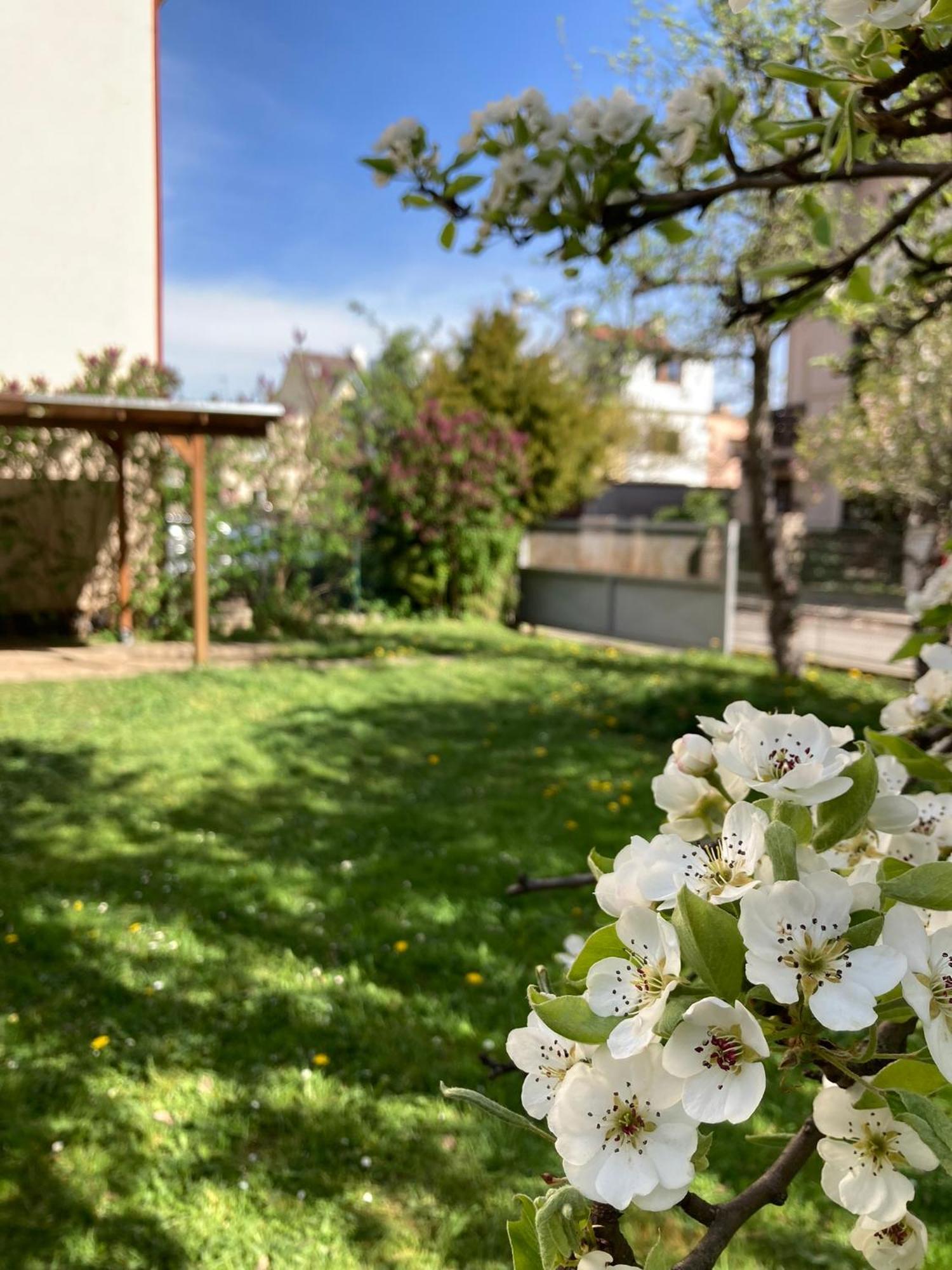 Spacious Apartment - Free Parking! Prague Exterior photo